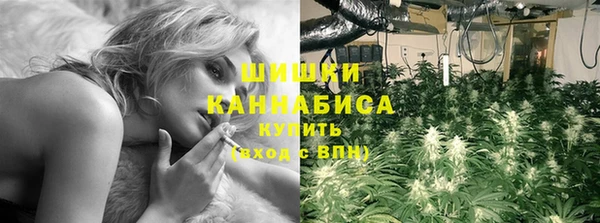 гашик Аркадак