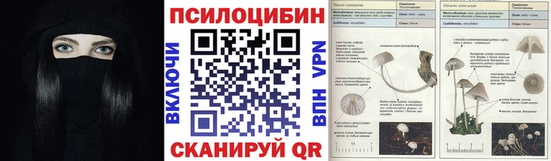 как найти закладки Бабаево Псилоцибиновые грибы GOLDEN TEACHER